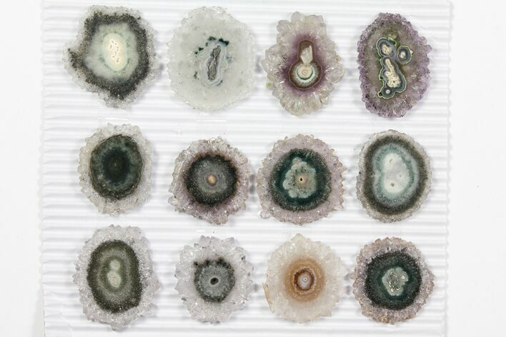 Lot: ~1.4" Amethyst Stalactite Slices (12 Pieces)